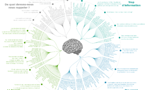 Labyrinthe de l'esprit décrypter les Biais Cognitifs qui façonnent notre pensée