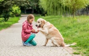 Comprendre sans projeter, le défi de l'empathie véritable. Découvrez comment y parvenir.